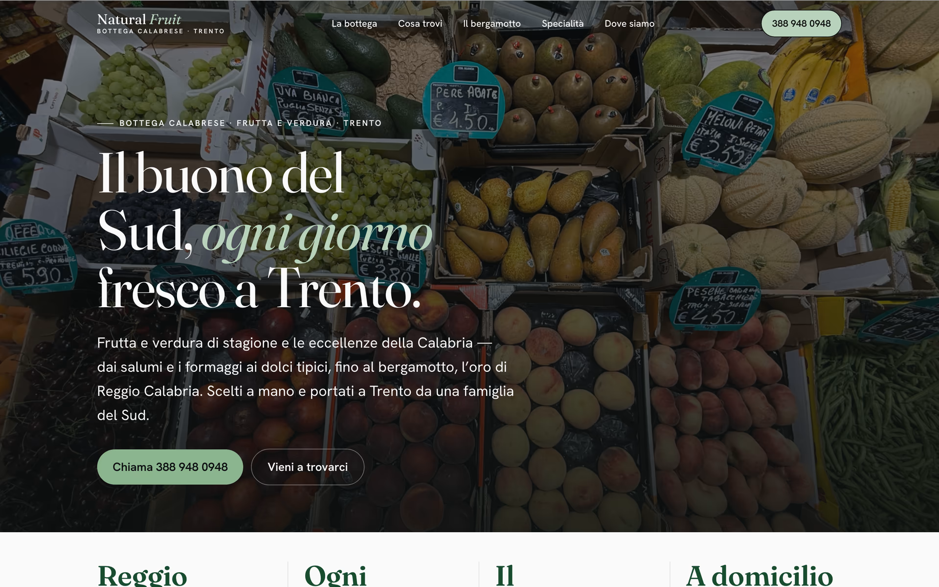 Sito Natural Fruit — anteprima