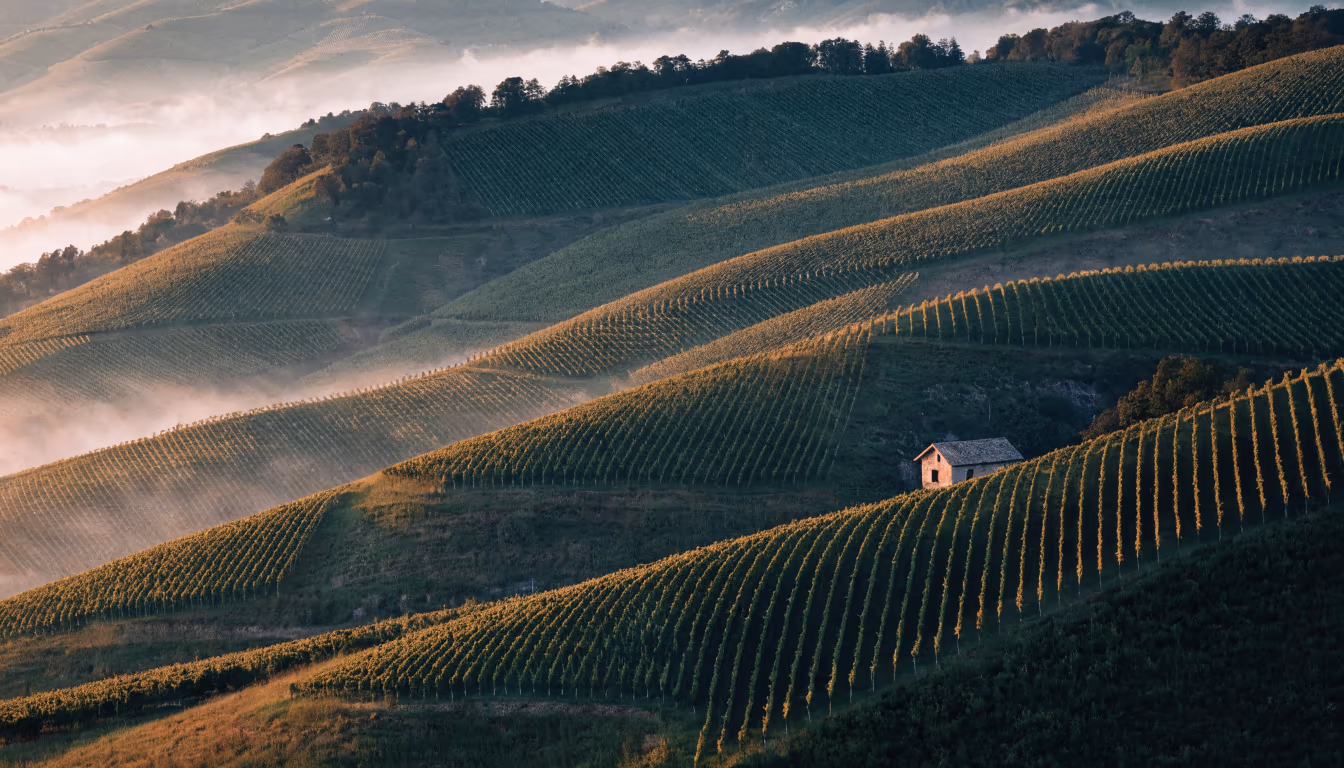 Le colline vitate di Valdobbiadene all’alba